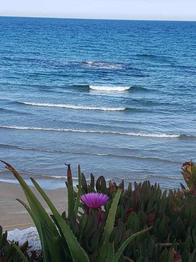 Playa Flamenca Splendid Apartment On The Beach Alicante Luaran gambar